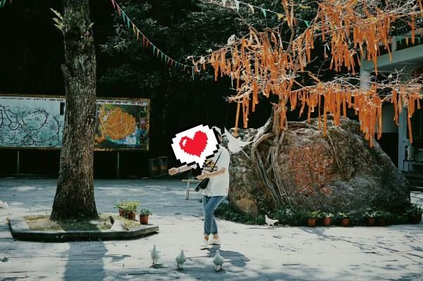 我修的可能是假仙