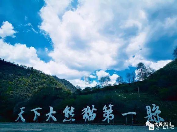 祖龙娱乐(09990.HK)1月24日耗资96.3万港元回购72.7万股