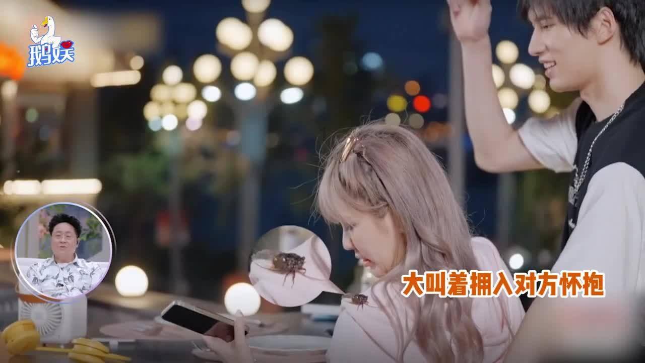 救援猫与武士