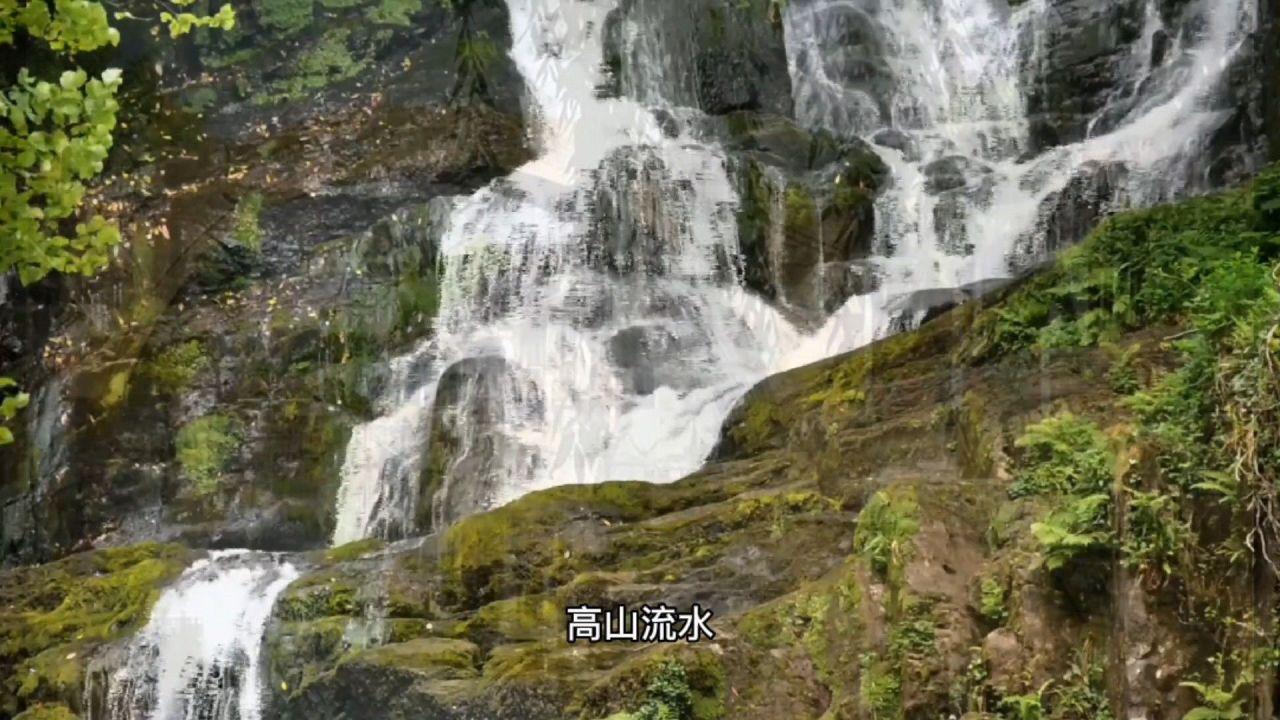 拯救活力男孩