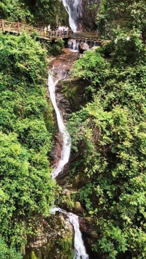 美妙森林找不同