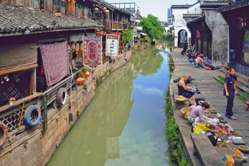 拯救精灵的土地6